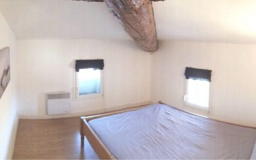 Appartement Mansardé 1 Chambre