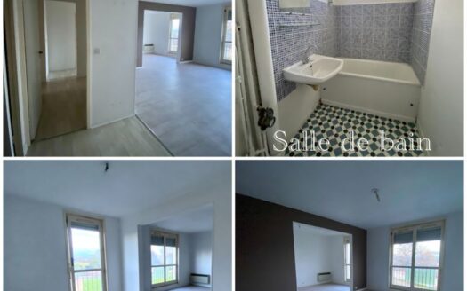 Appartement 3 pieces lumineux / ideal investisseur / cercy-la-tour 58340