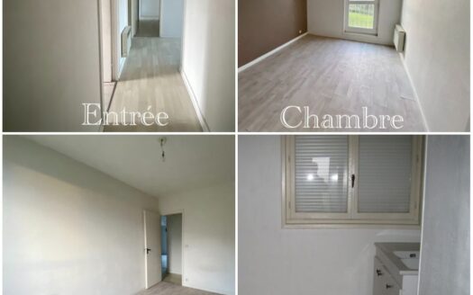 Appartement 3 pieces lumineux / ideal investisseur / cercy-la-tour 58340