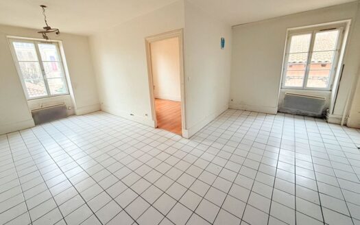 Appartement T2 de 44 m2 à rafraichir – MACON CENTRE
