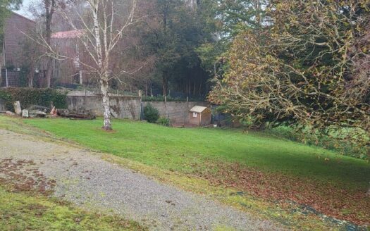 Maison sous sol grand terrain bourg