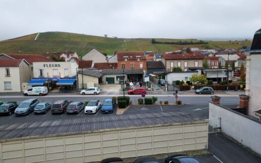 A vendre appartement T2 Aÿ vue sur côteaux