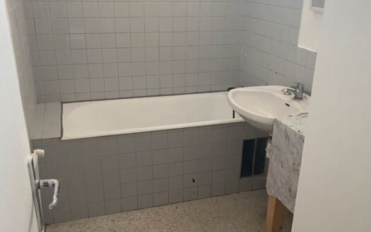 IDÉAL INVESTISSEURS – APPARTEMENT F3 LOUÉ AVEC GARANTIE VISALE, TERRASSE, ASCENSEUR ET PARKING