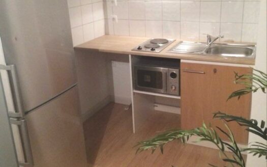 Appartement Mansardé 1 Chambre