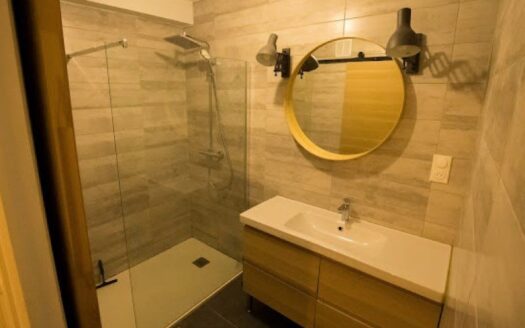 Appartement T4 à Vandoeuvre Village, proche CHU