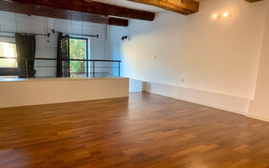 Beau loft rénové aux volumes généreux