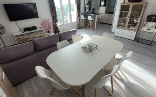 Bel Appartement T3 Meublé avec Vue Mer et Montagnes
