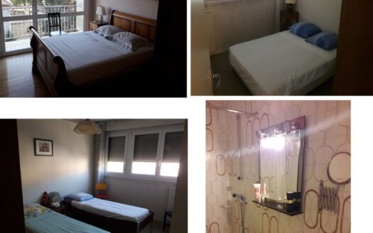 Aigle centre de Grenoble, vaste appartement dans résidence au calme,étage 4, avec possibilité g