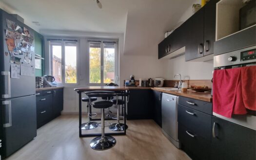 Appartement centre Epinal