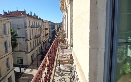 Appartement plein centre