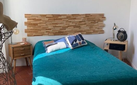Appartement plein centre