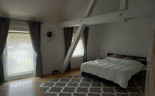 Maison 6 pièces 250 m2