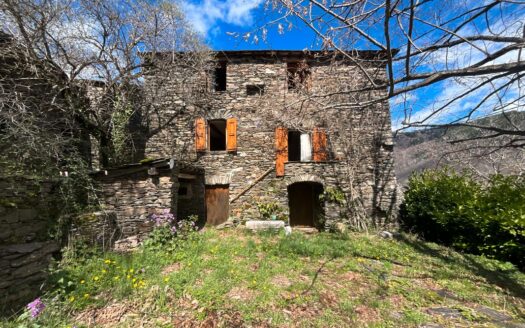 Charmante Maison en Pierres au Cœur du Parc des Cévennes