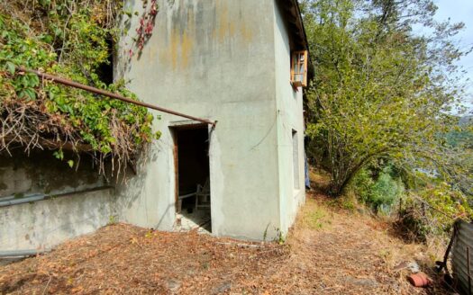 MAISON AVEC TERRAIN, SOURCE D’EAU ET VUE EXCEPTIONNELLE, PARCELLE DE FORET 6000M²