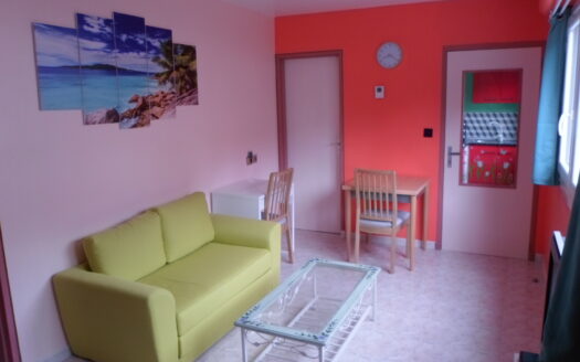 IDEAL INVESTISSEUR : T1 Bis  30 m2 meuble+ loué