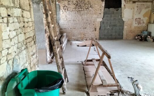 Maison ancienne – Aménagement intérieur à faire – Beau Potentiel – 115 + 78 m2