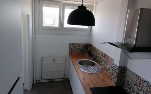 Appt T2 rénové