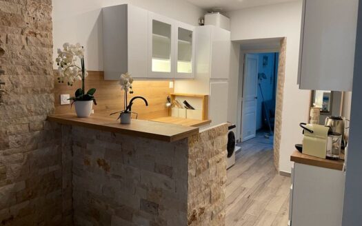 Superbe appartement traversant avec terrasse
