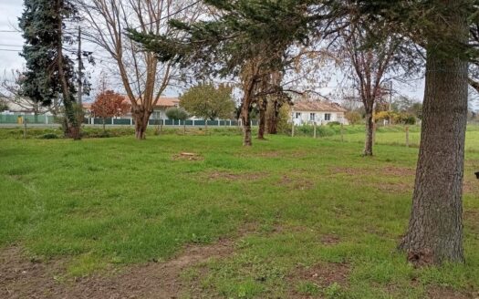 Maison Individuelle- Plus de 100m2-Jardin