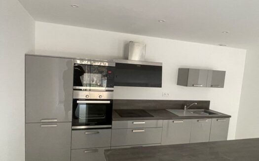 1/3  Maison quartier Horteneuve