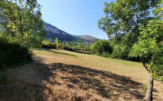 MILLAU/CREISSELS PROPRIETE MAISON ET 8046M (5266 constructibles)