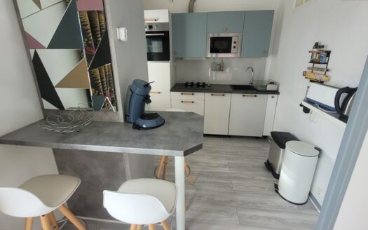 Bel Appartement T3 Meublé avec Vue Mer et Montagnes