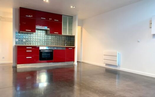 Beau loft rénové aux volumes généreux