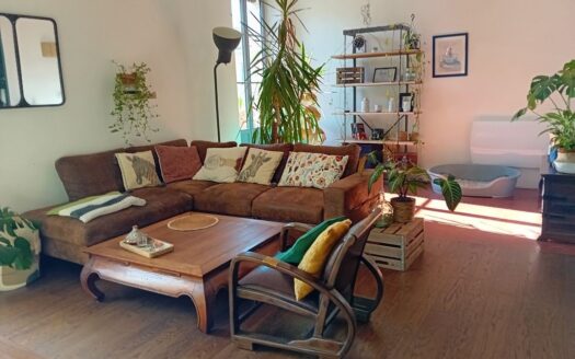 Appartement plein centre