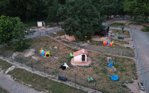 Elevage canin sur 3.7 hectares