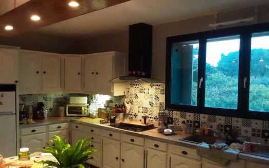 Maison et appartement 245 m2