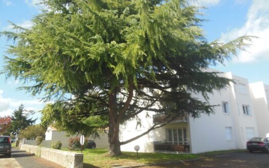 A vendre T2 entièrement rénové