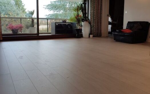 135 m2 Le Chesnay-Rocquencourt 78150 dernier étage terrasse sud