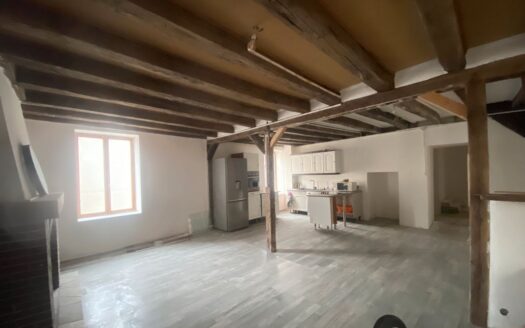 Immeuble de Caractère  – Opportunité Unique pour Artistes ou Investisseurs