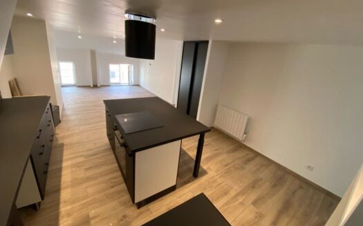 Superbe appartement en duplex au cœur de Macon