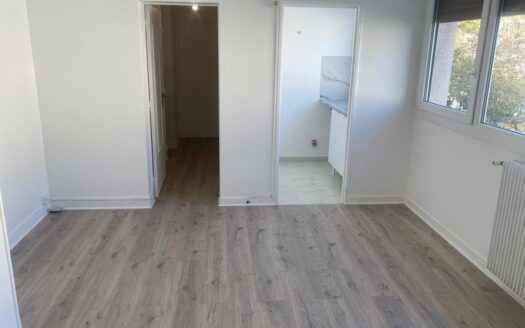 STUDIO 24m2 balcon/ cave refait à neuf métro Faidherbe Chaligny