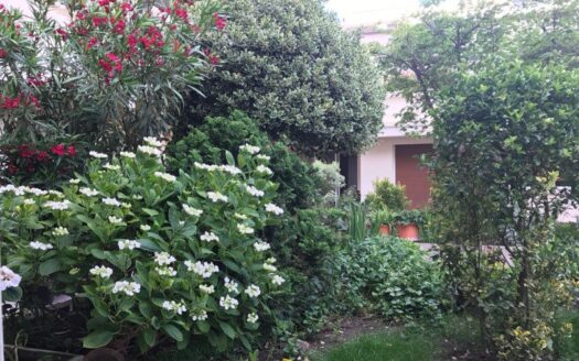 À VENDRE Grand studio 38 m2 dans rez-de-jardin arboré
