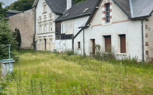 Vente propriété : 2 maisons, 3 caves, 1 verger, 1 grande cours sécurisé, 1 jardin, 2 dépendance