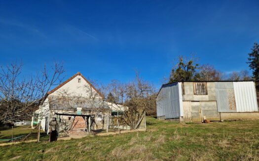 IDEAL FAMILLE – Maison Individuelle avec Grand Terrain