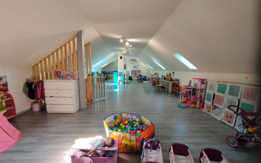 Maison / chalet en bois de 240m2