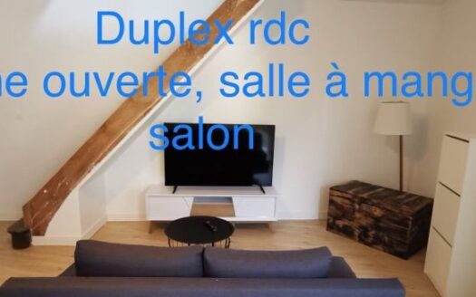 Maison familiale de caractère ou idéal investisseur