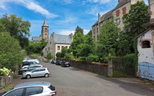 Maison de bourg avec parc arboré