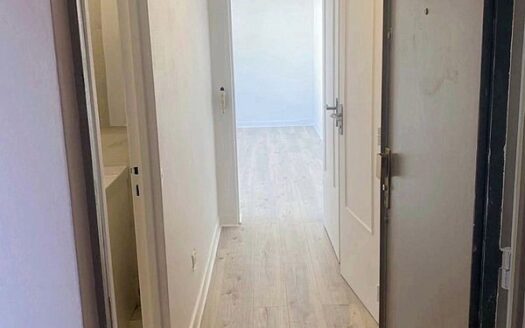 STUDIO 24m2 balcon/ cave refait à neuf métro Faidherbe Chaligny