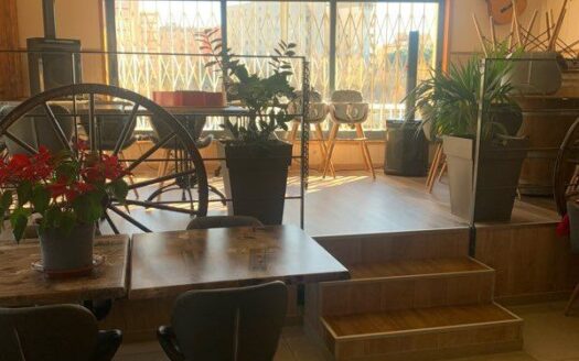 Appartement plus local commercial