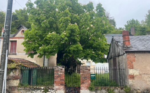 Vente propriété : 2 maisons, 3 caves, 1 verger, 1 grande cours sécurisé, 1 jardin, 2 dépendance