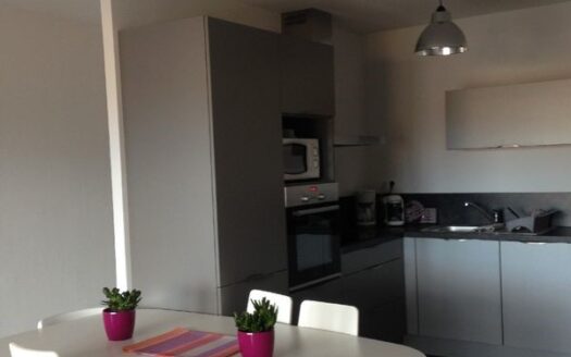 Appartement T3 ricanto