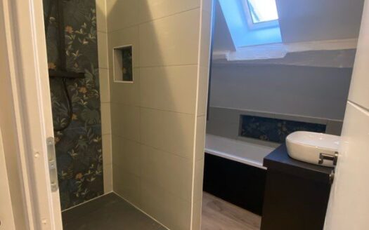 Superbe appartement en duplex au cœur de Macon