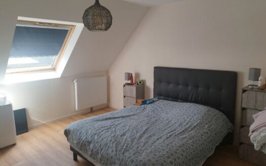 Maison avec jardin sans travaux