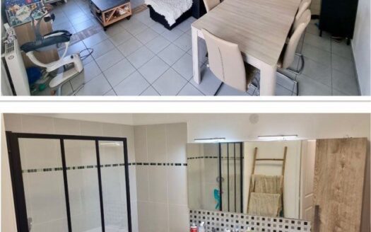 Appartement 73m2 3 pièces – Rue Mathieu Dussurgey
