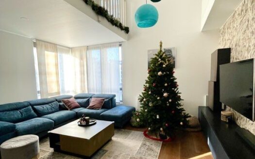 Spacieux Duplex éco-quartier « Bords de Seine »