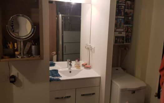 Appartement T2 en Rez De Jardin et garage